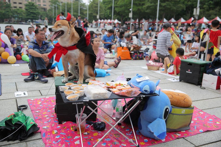 狗狗是主角的野餐布置比賽